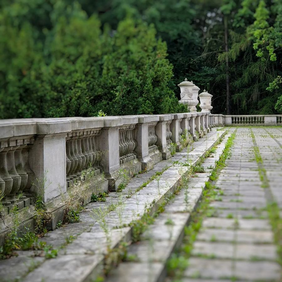 Old balustrade and mossy stone steps